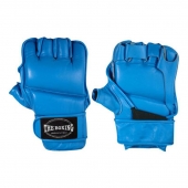 MMA Gloves